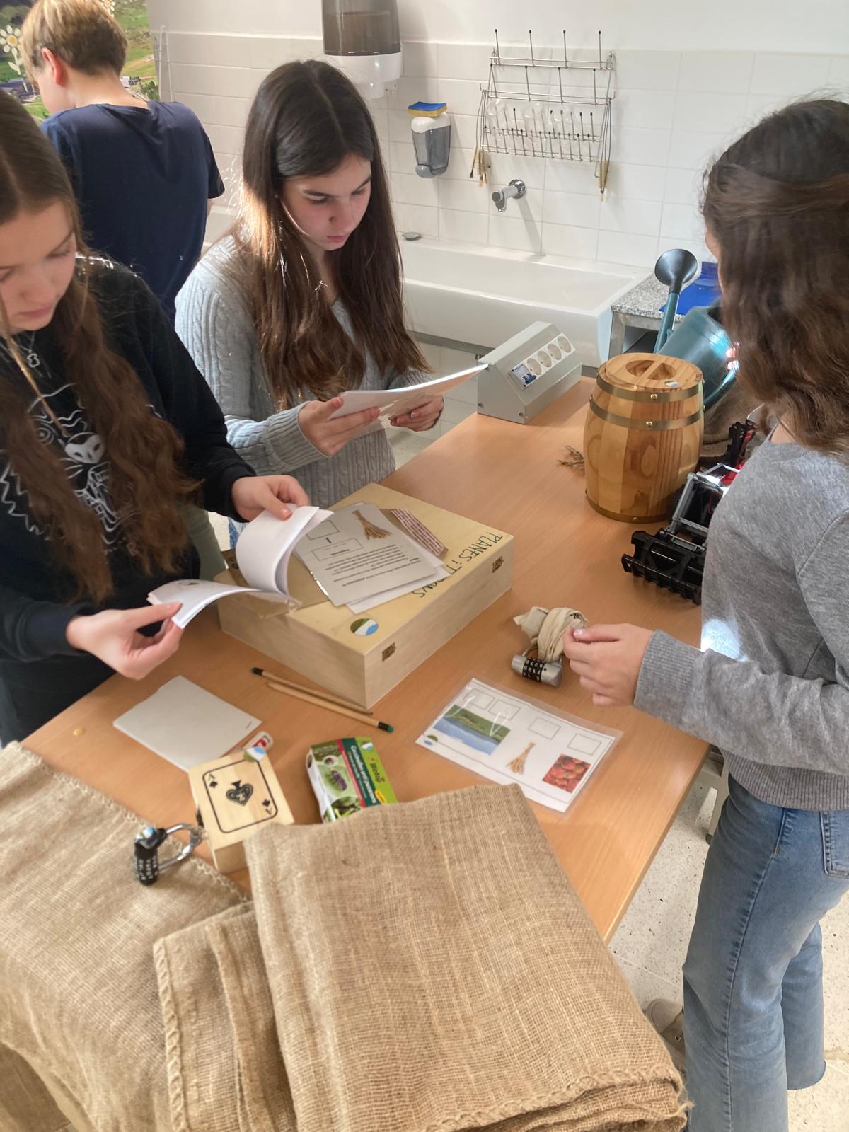 WhatsApp Image 2025-01-24 at 10.38.50 (7)