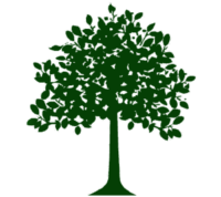 Institut Escola Mestre Andreu