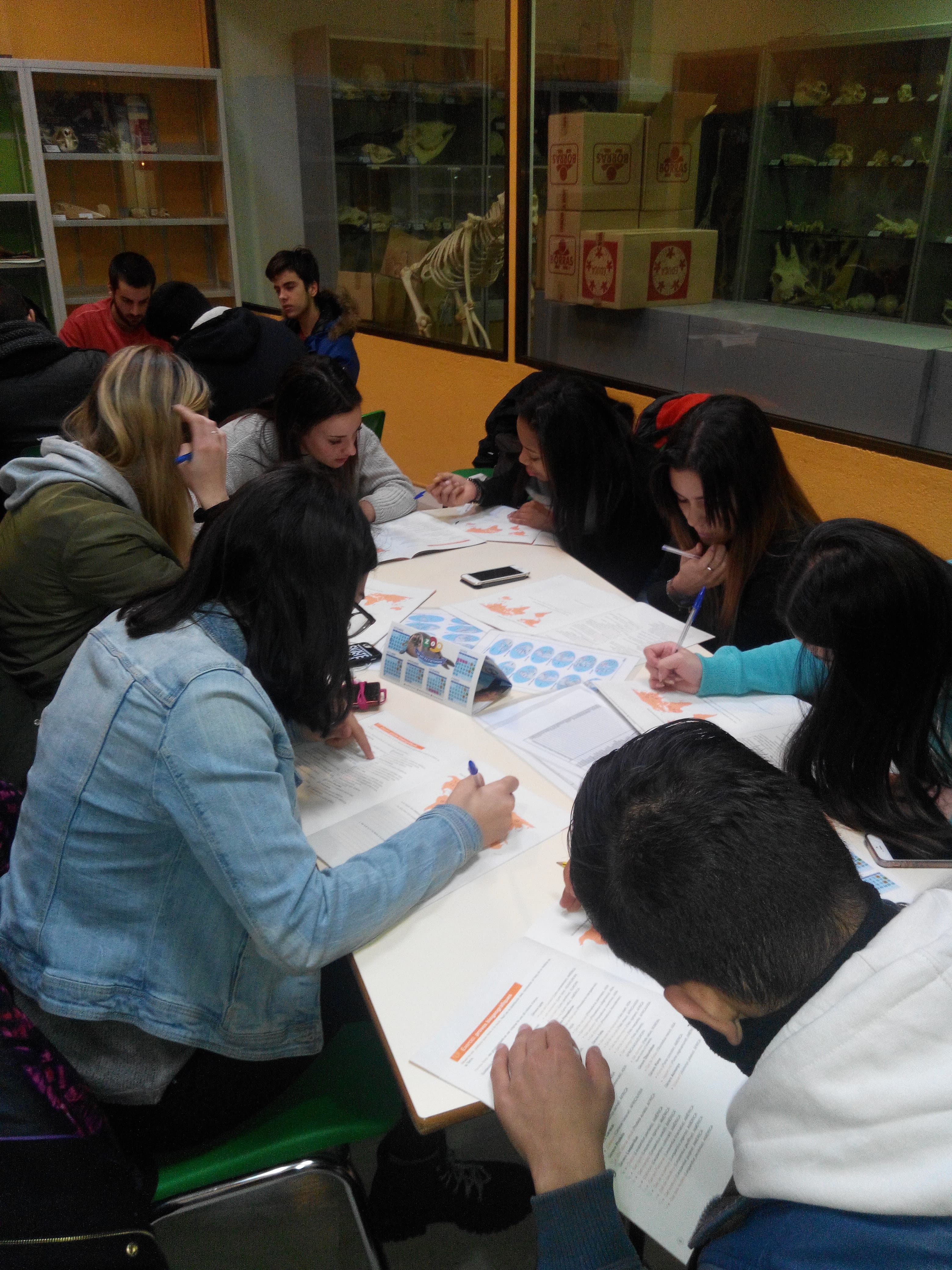 img_20170124_105246-min