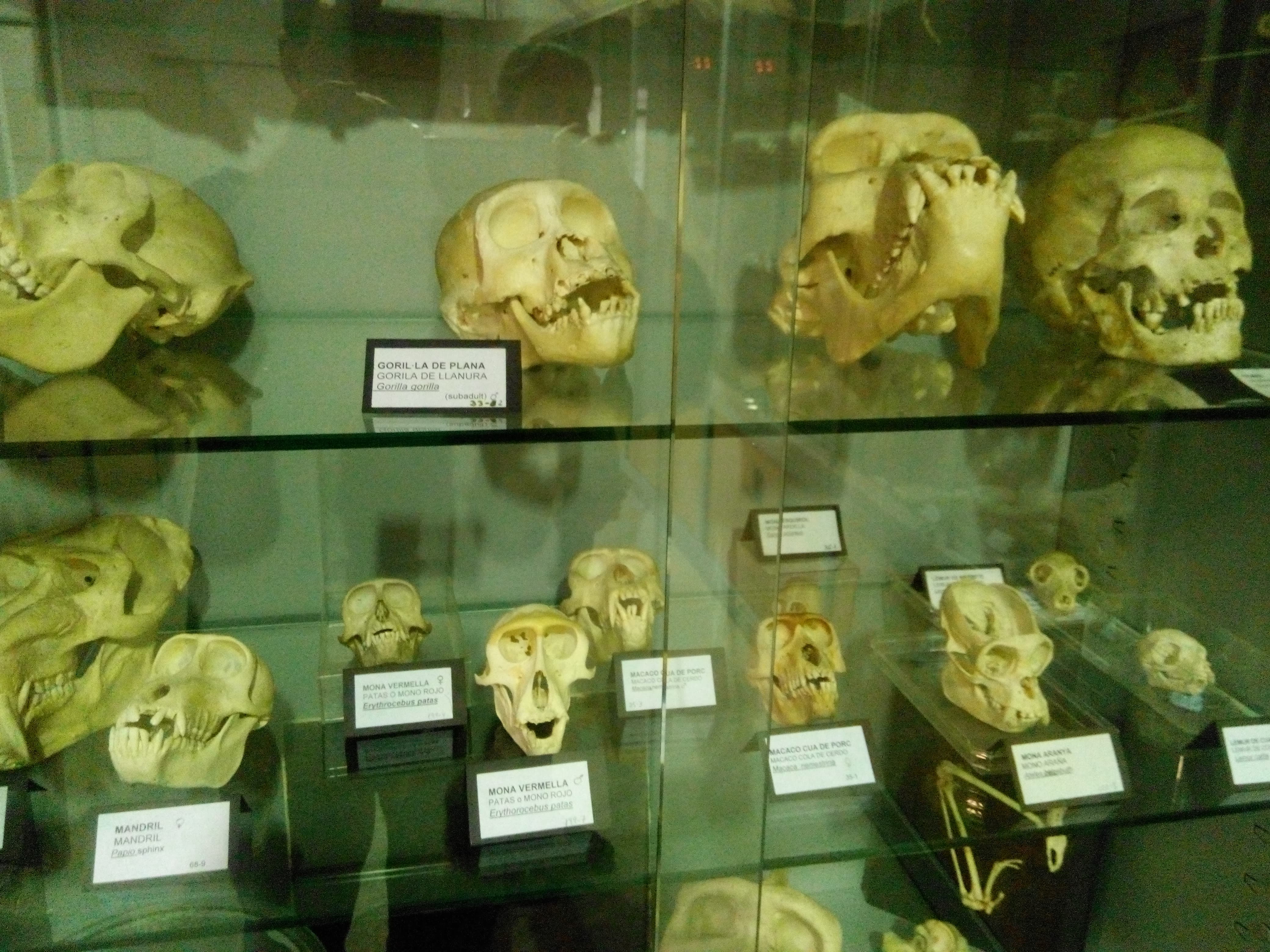 img_20170124_105627-min