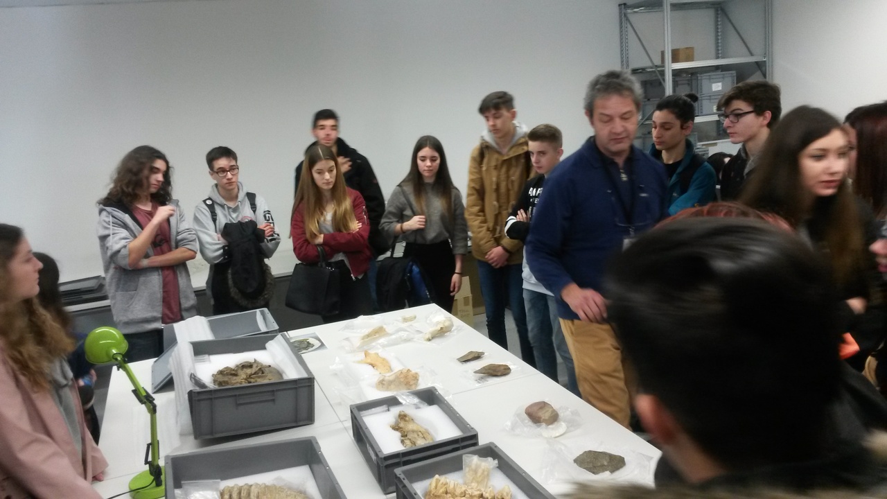 20170223_113117_easy-resize-com