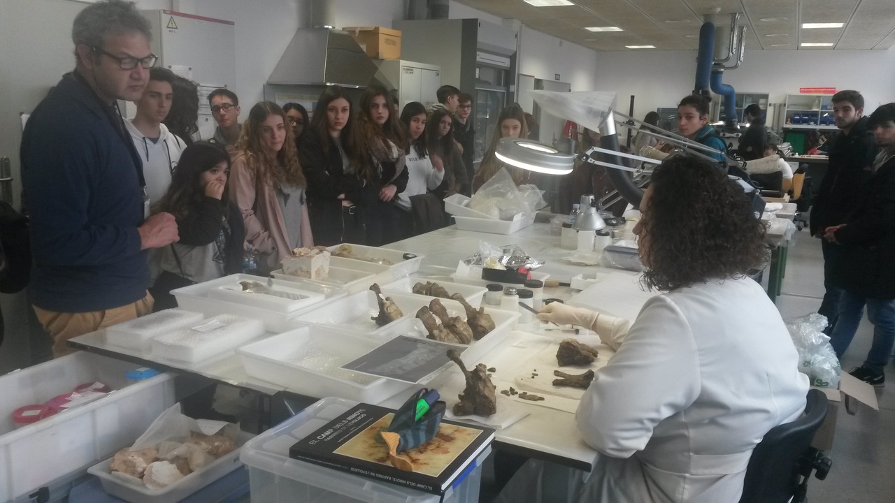 20170223_113521_easy-resize-com