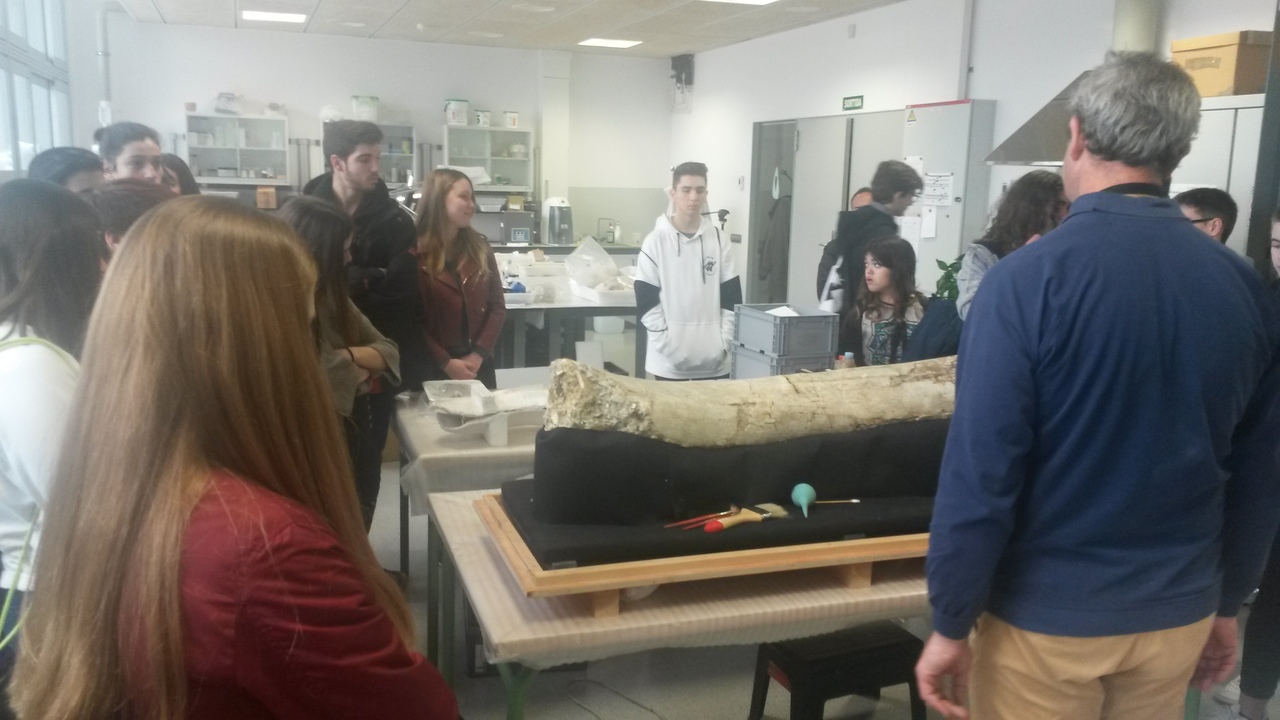 20170223_114019_easy-resize-com