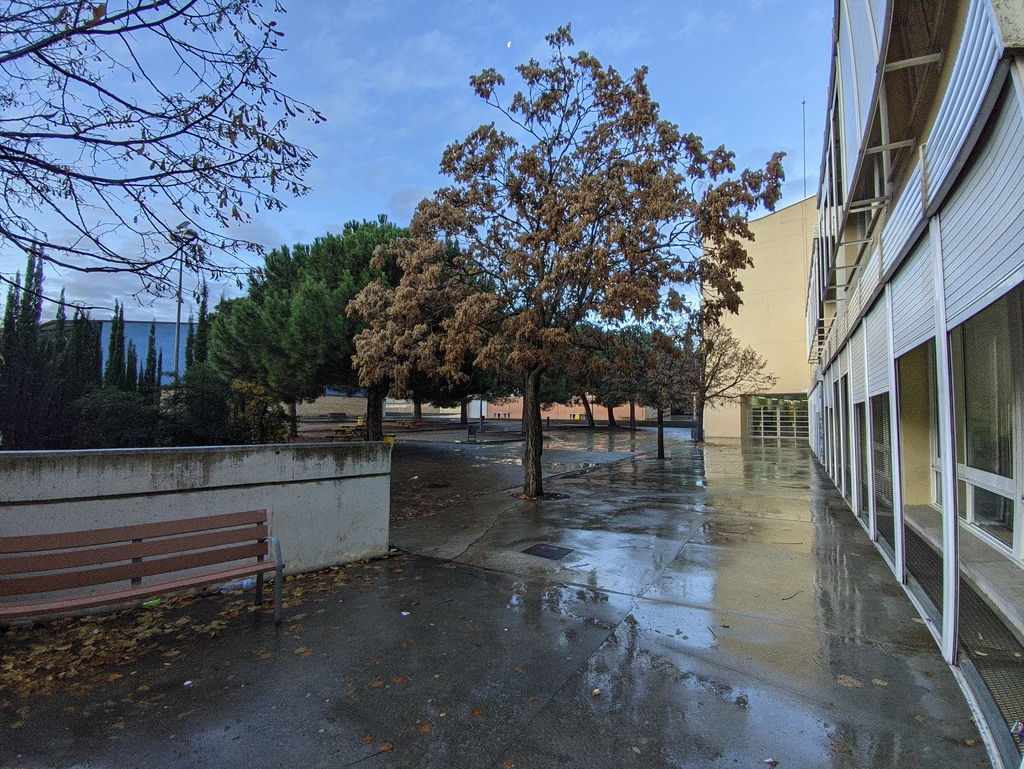 IMG_20221215_091400907 (1)