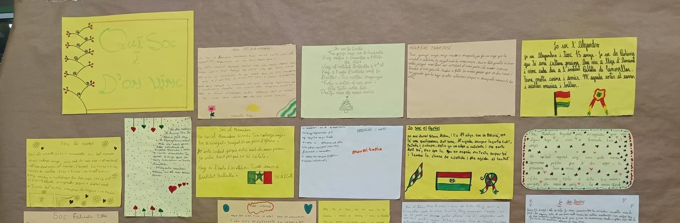 IMG_20250305_183251_cropped_resized_compressed