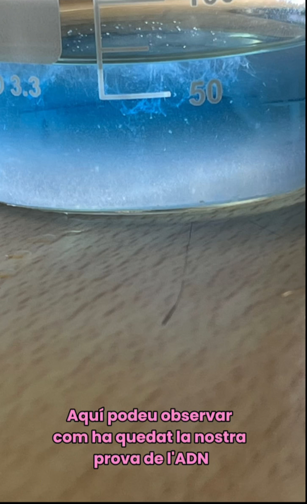 20250929_Exp1_BioGeo_3ESO_Imatge5