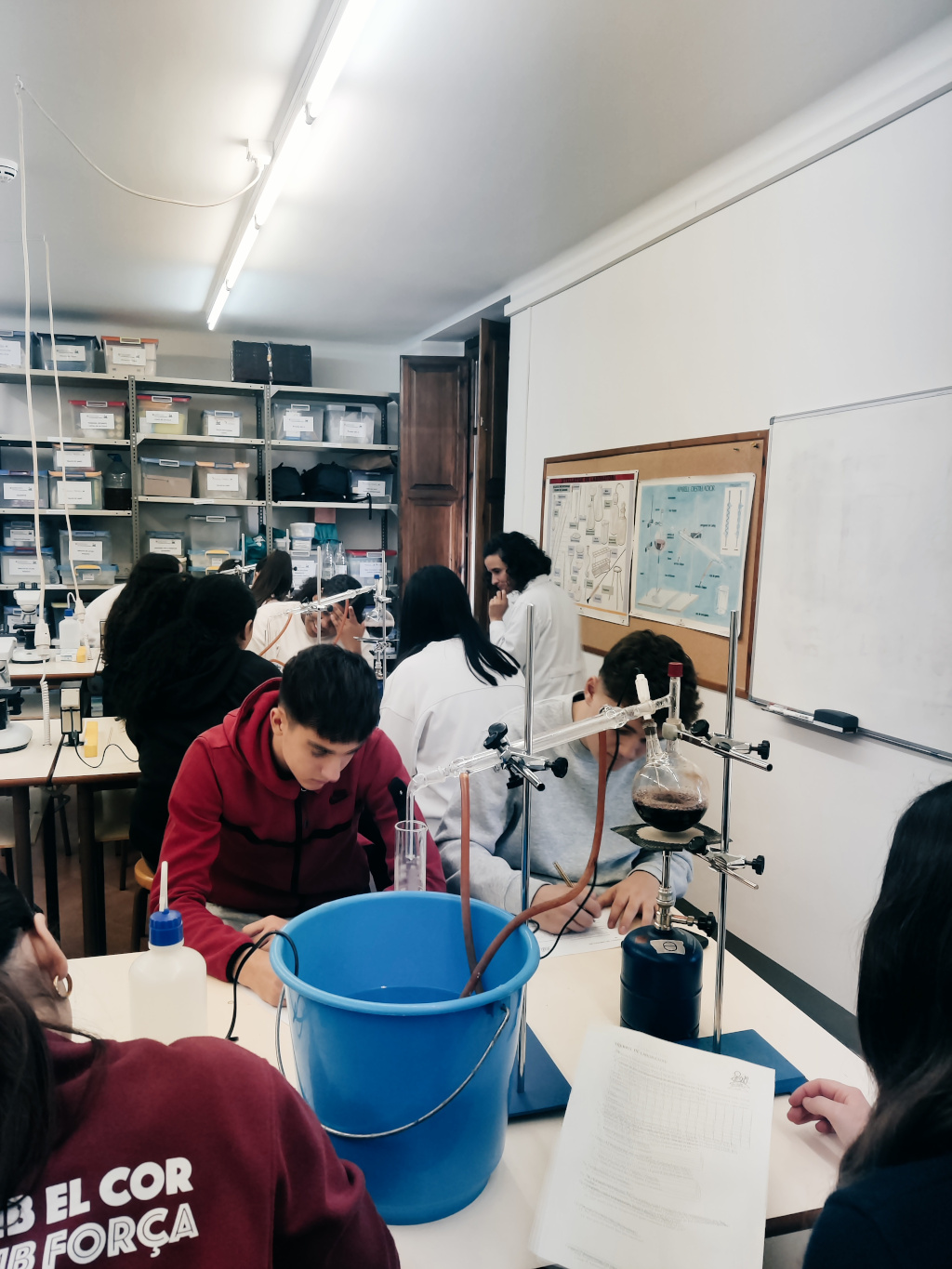 20251113_CullaManresa_1