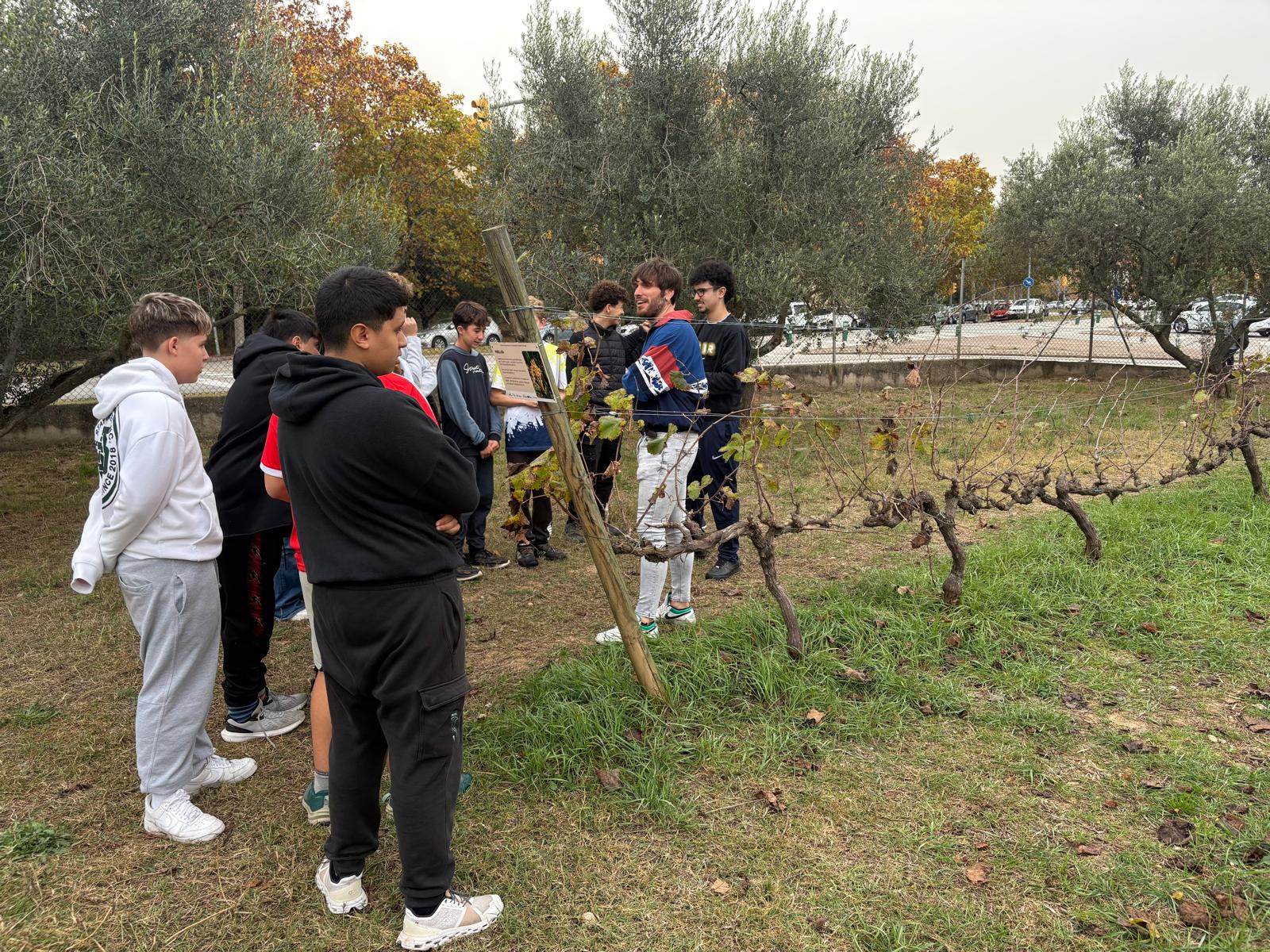 20251113_CullaManresa_11