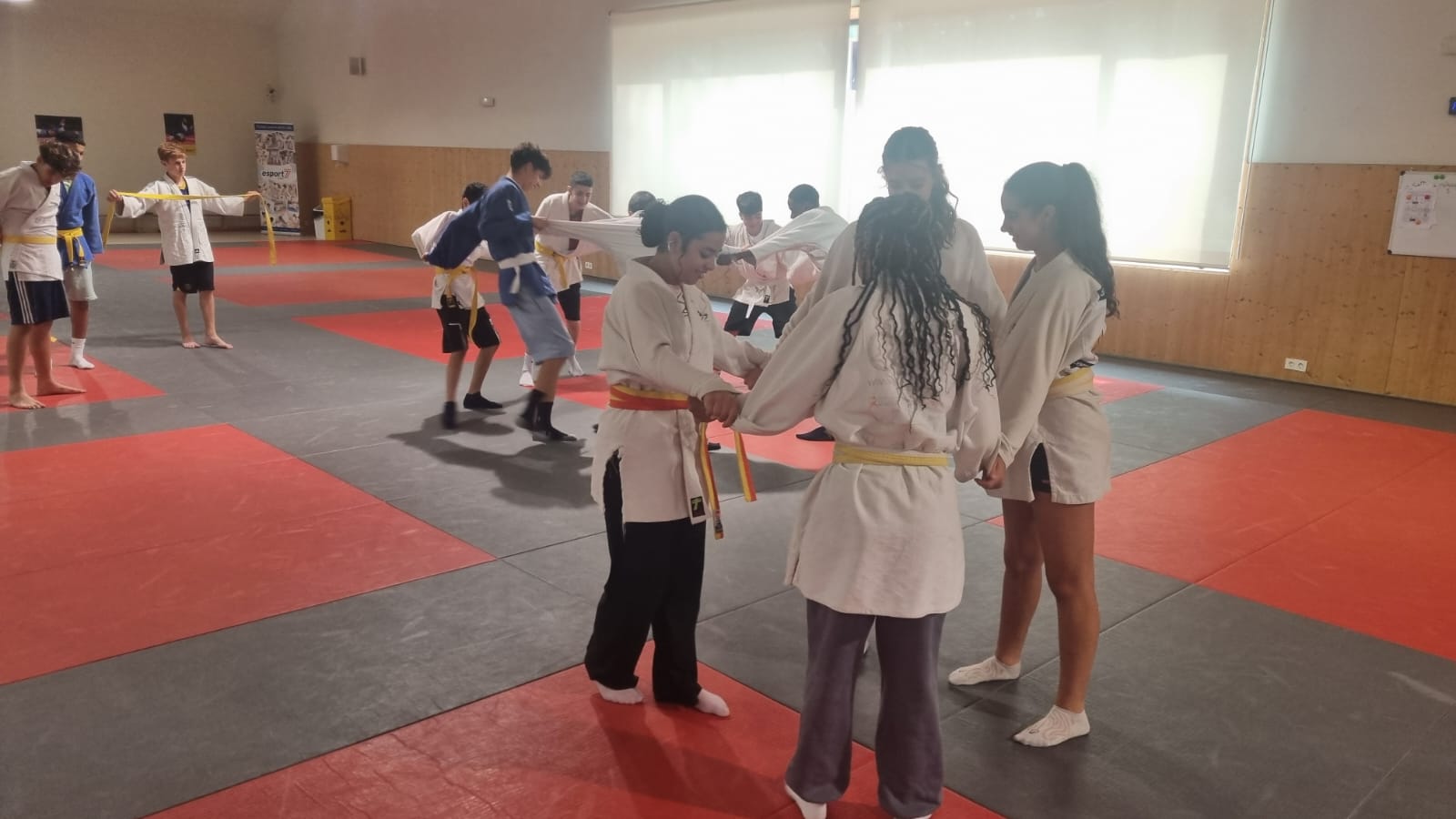 20260602_Esports_carta5