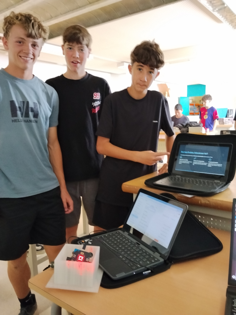 STEM3