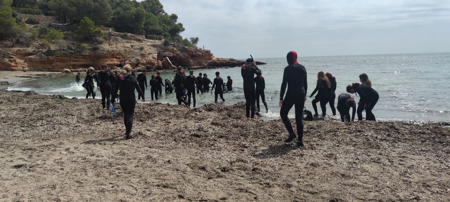 088ad47e-a6e1-43a1-90cc-2b0edd624562