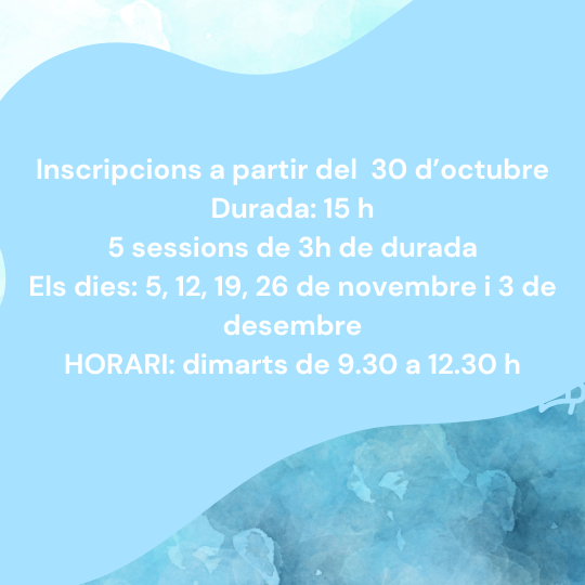 CURS CAPACITACIÓ DIGITAL (3)