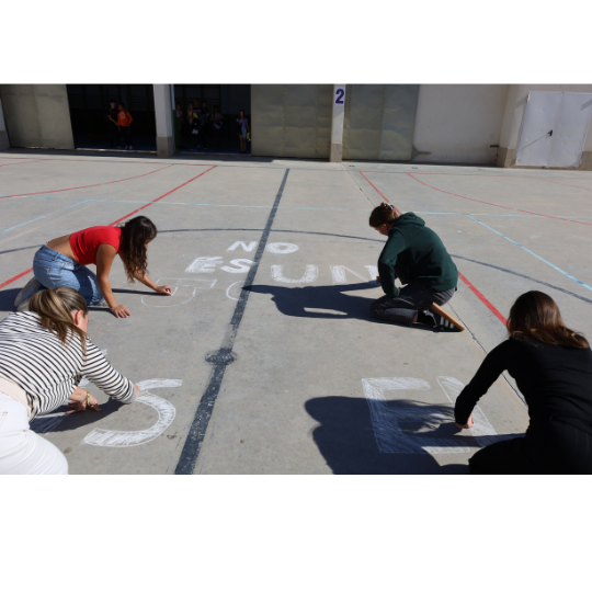 imatges per a la web (4)