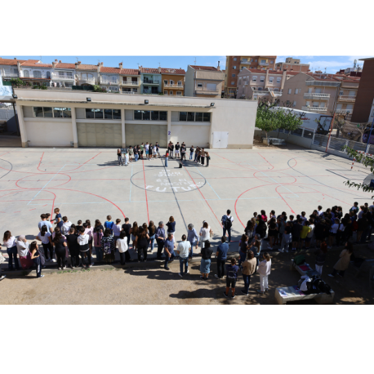 imatges per a la web (5)