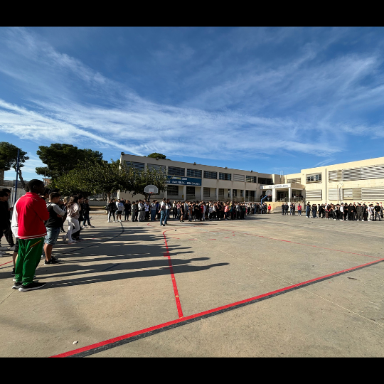 imatges per a la web (9)