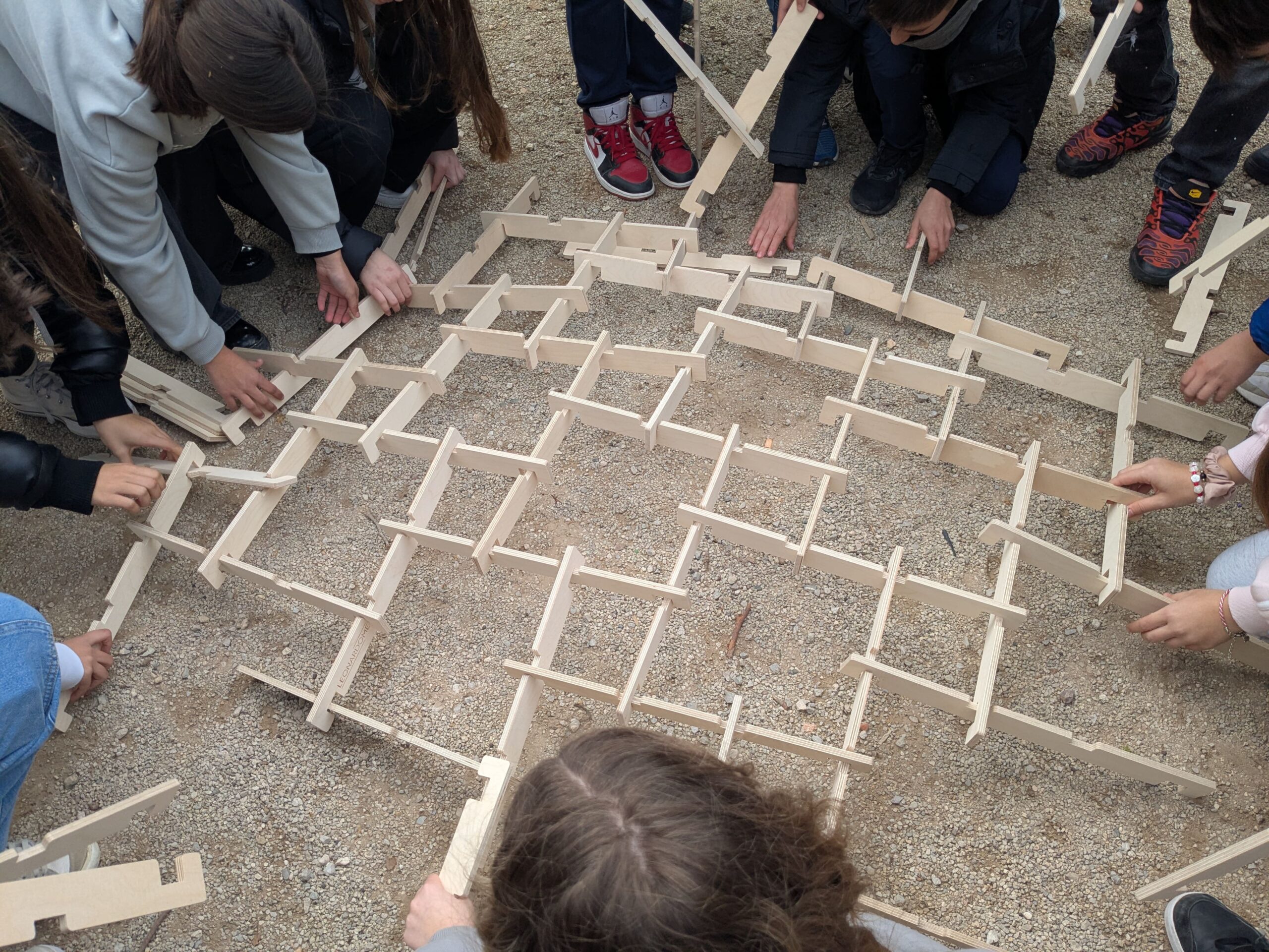 PXL_20250303_094658577