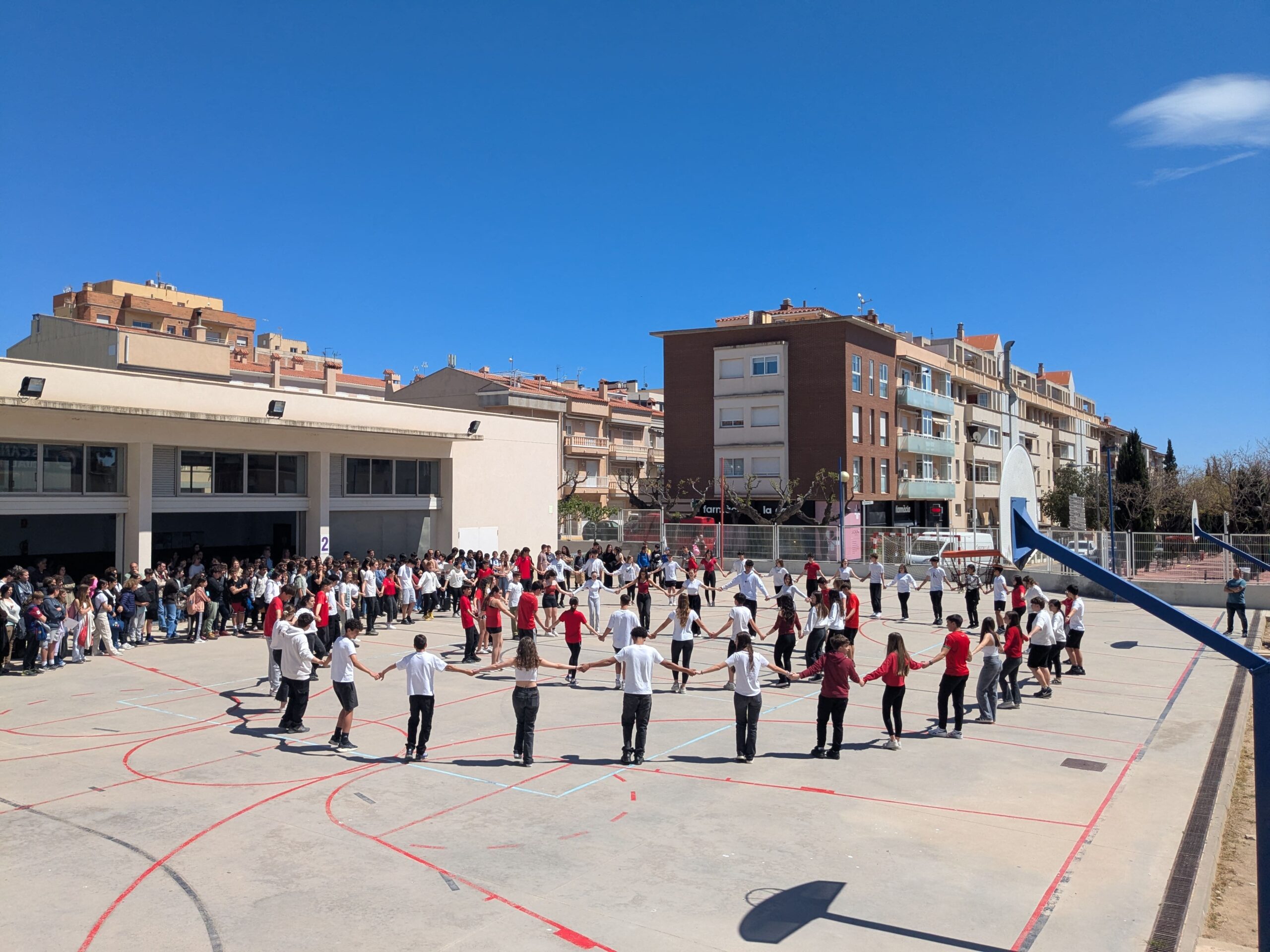 PXL_20250423_123931819