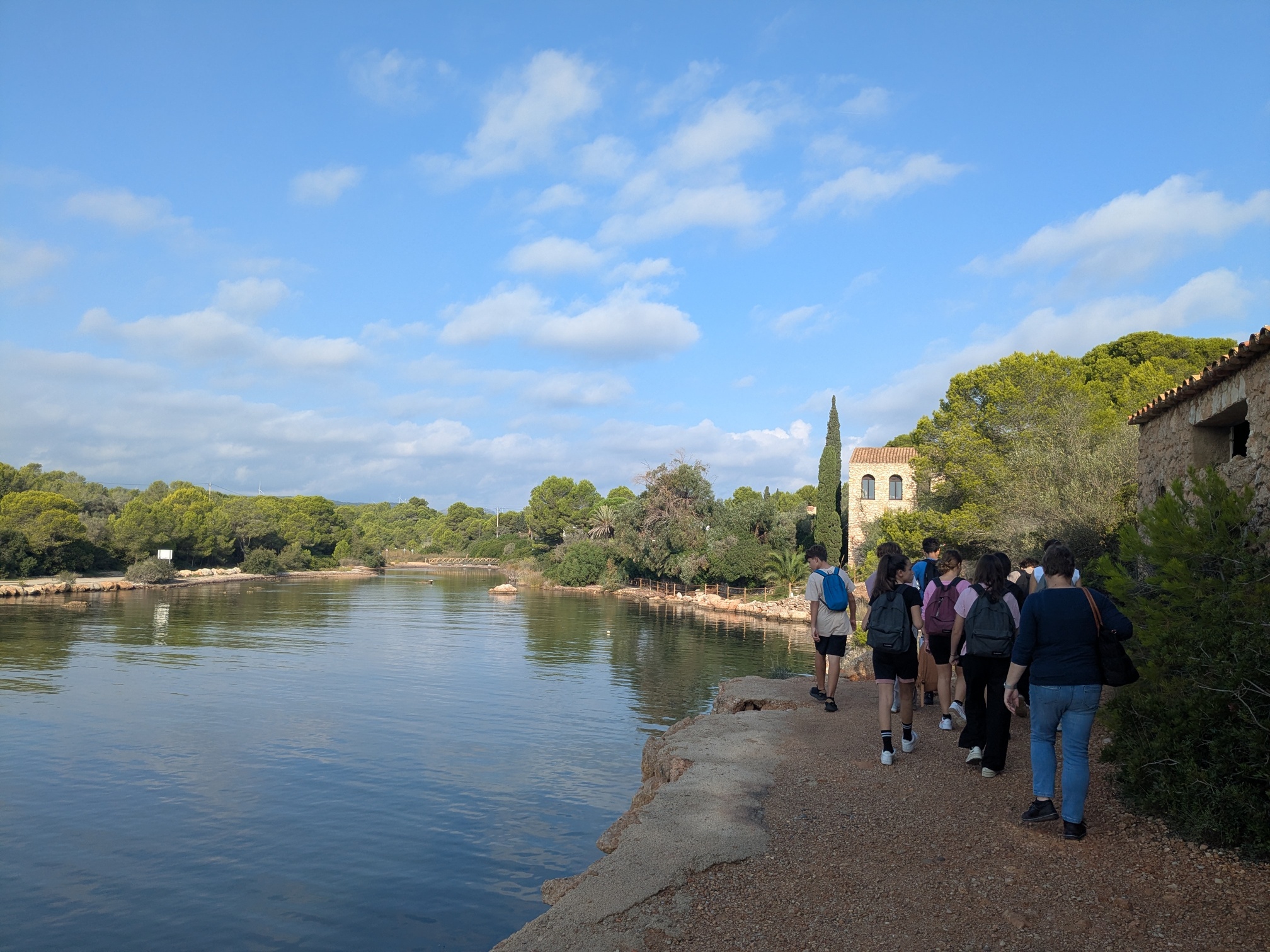 PXL_20251017_083437297