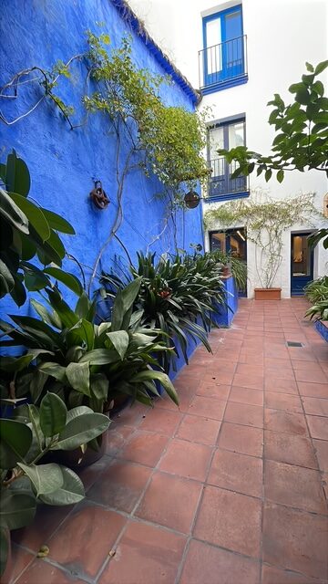 4BCA1DCC-D534-4243-AEBC-2603F5EF130B