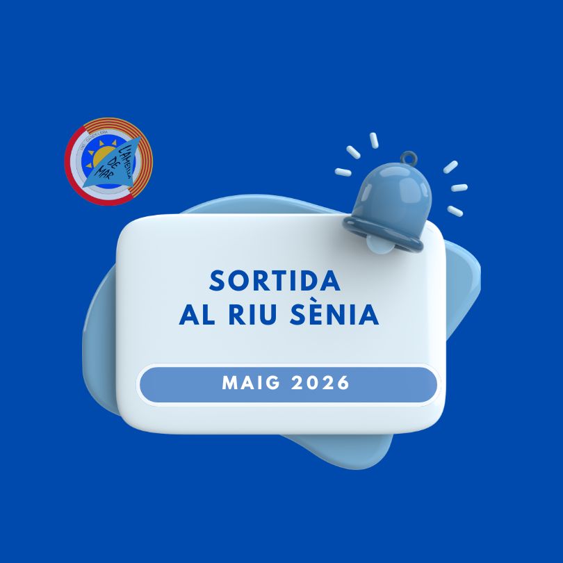 anuncis web (10)