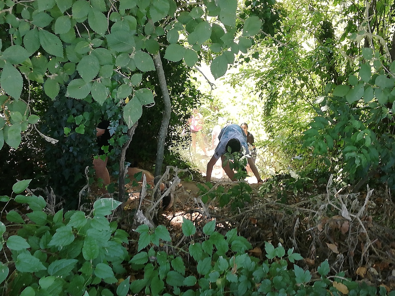 IMG_20210614_124604.redi