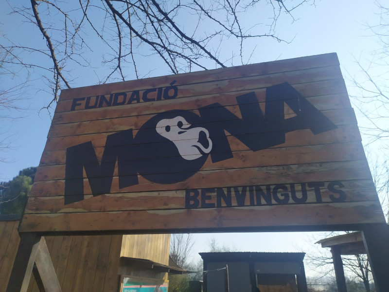 fundaciomona3