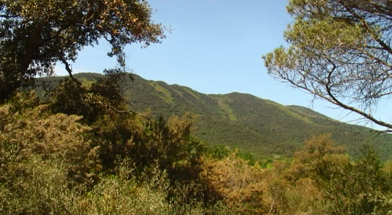 Captura de pantalla 2016-06-18 a las 17.14.19