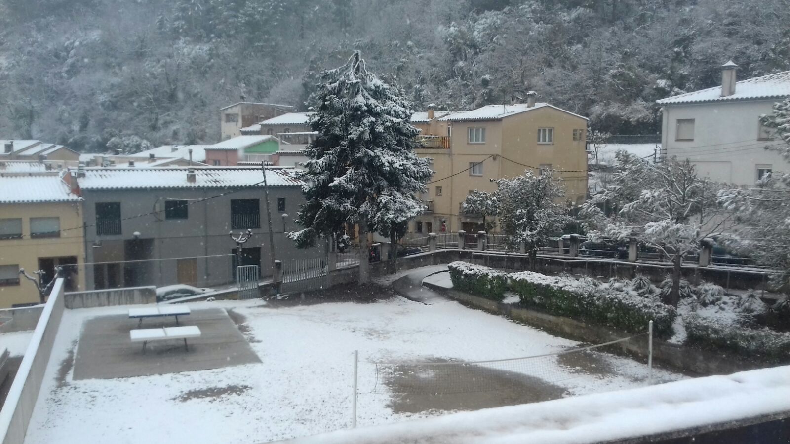 IMG-20180228-WA0022-1