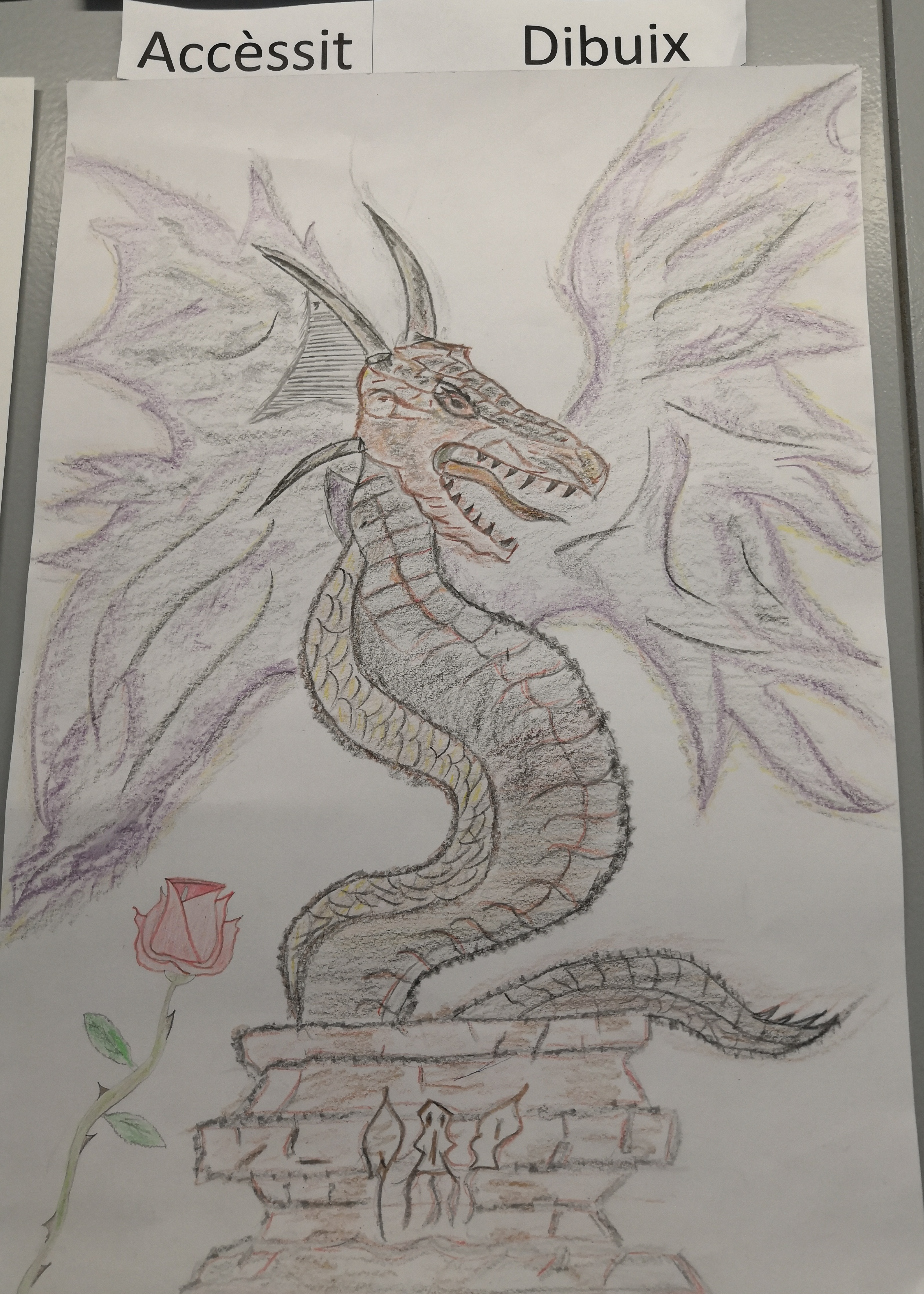 IMG_20190430_140200 (2)