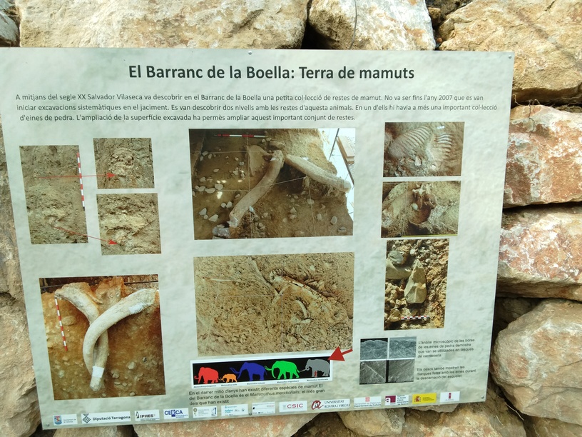 IMG_20240924_101140_570