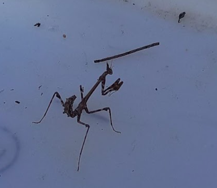 Captura de Pantalla 2024-10-02 a les 9.50.29