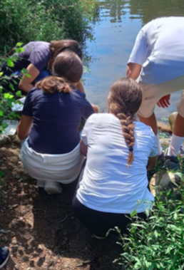 Captura de Pantalla 2024-10-02 a les 9.50.46