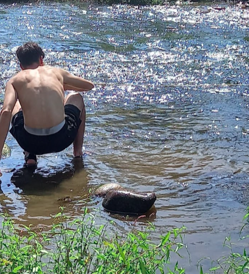 Captura de Pantalla 2024-10-02 a les 9.50.56