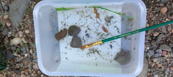 Captura de Pantalla 2024-10-02 a les 9.51.04