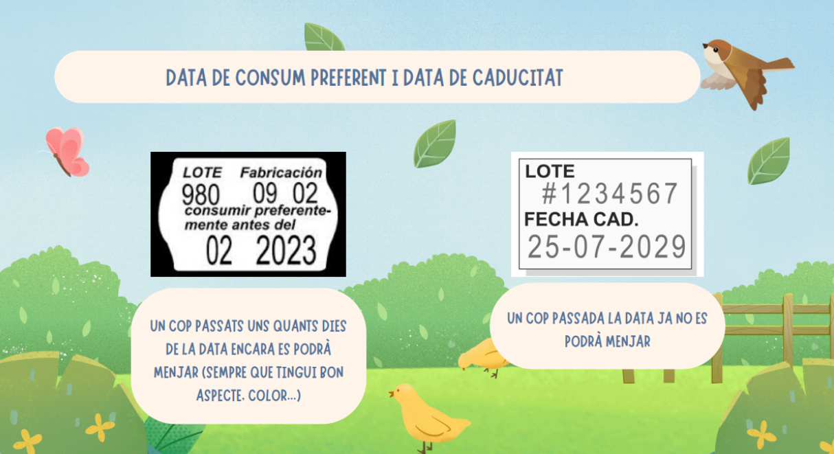 Captura de pantalla 2024-11-21 160936