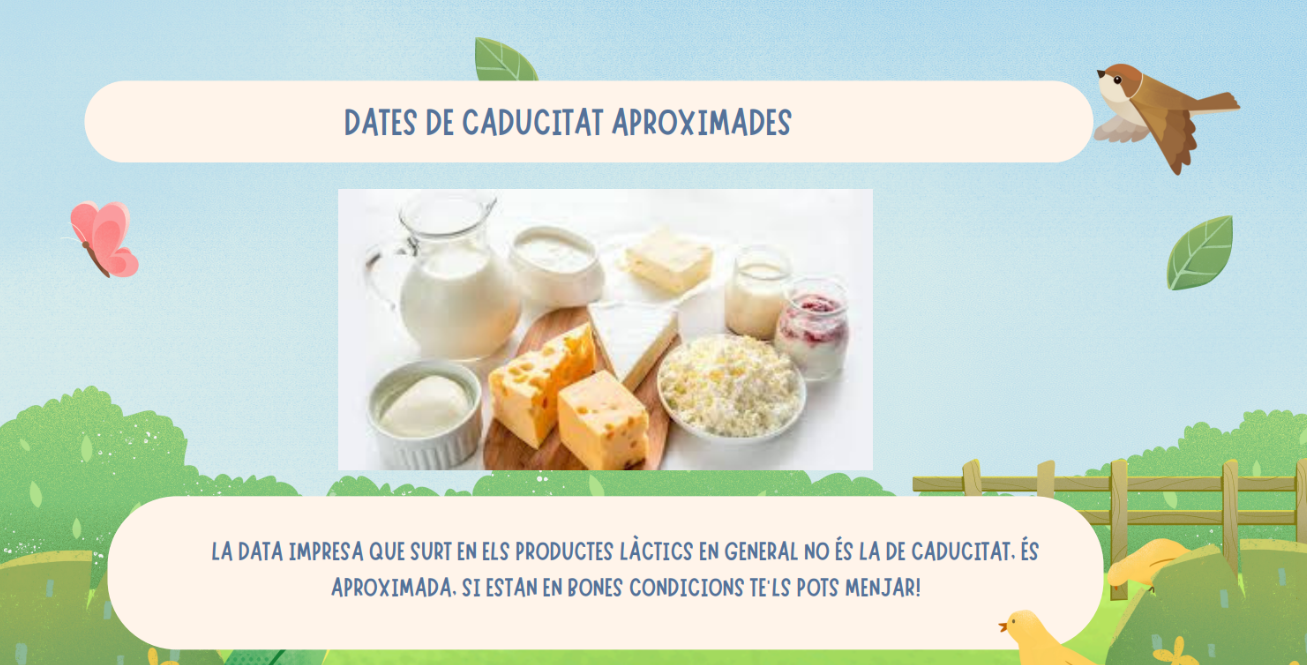 Captura de pantalla 2024-11-21 160953