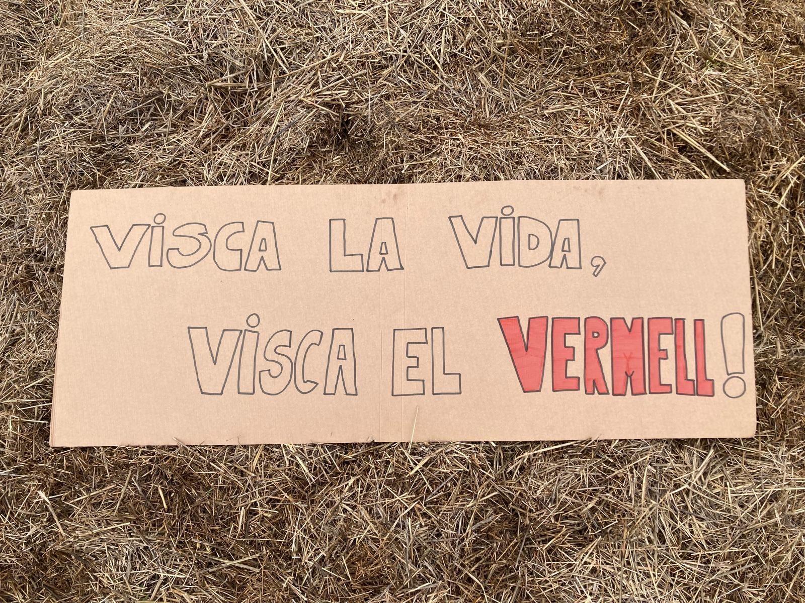 PHOTO-2024-11-07-19-30-24 2