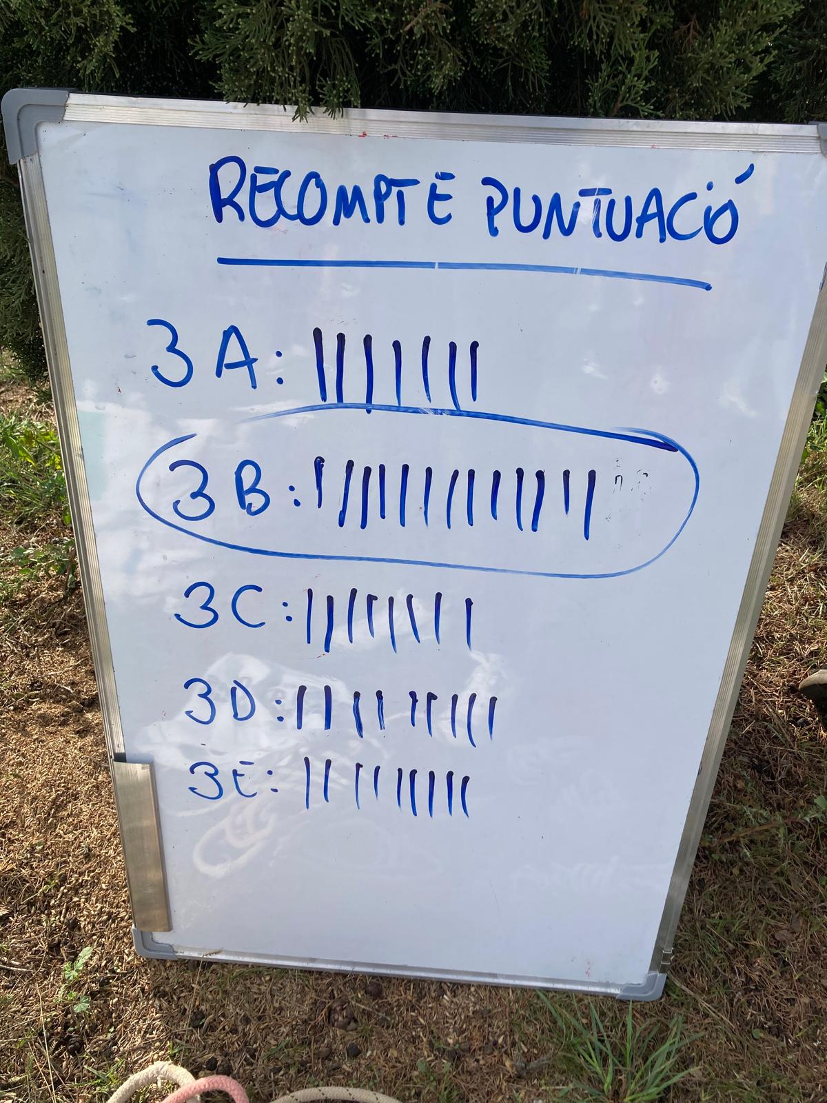 PHOTO-2024-11-07-19-30-30 4