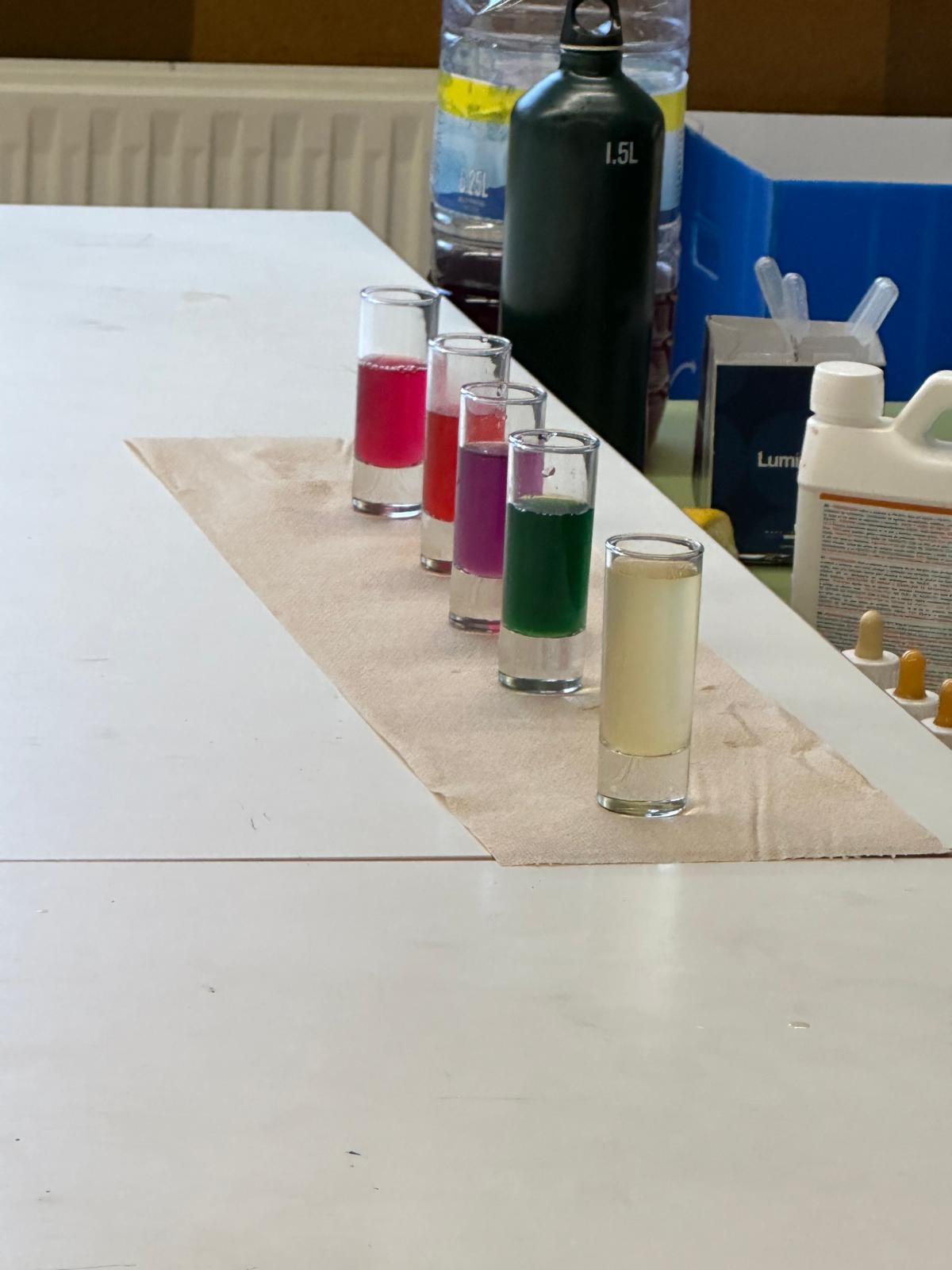 WhatsApp Image 2024-11-18 at 07.46.41 (7)