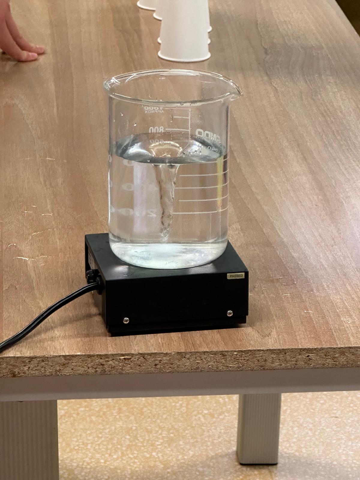 WhatsApp Image 2024-11-18 at 07.46.41 (8)