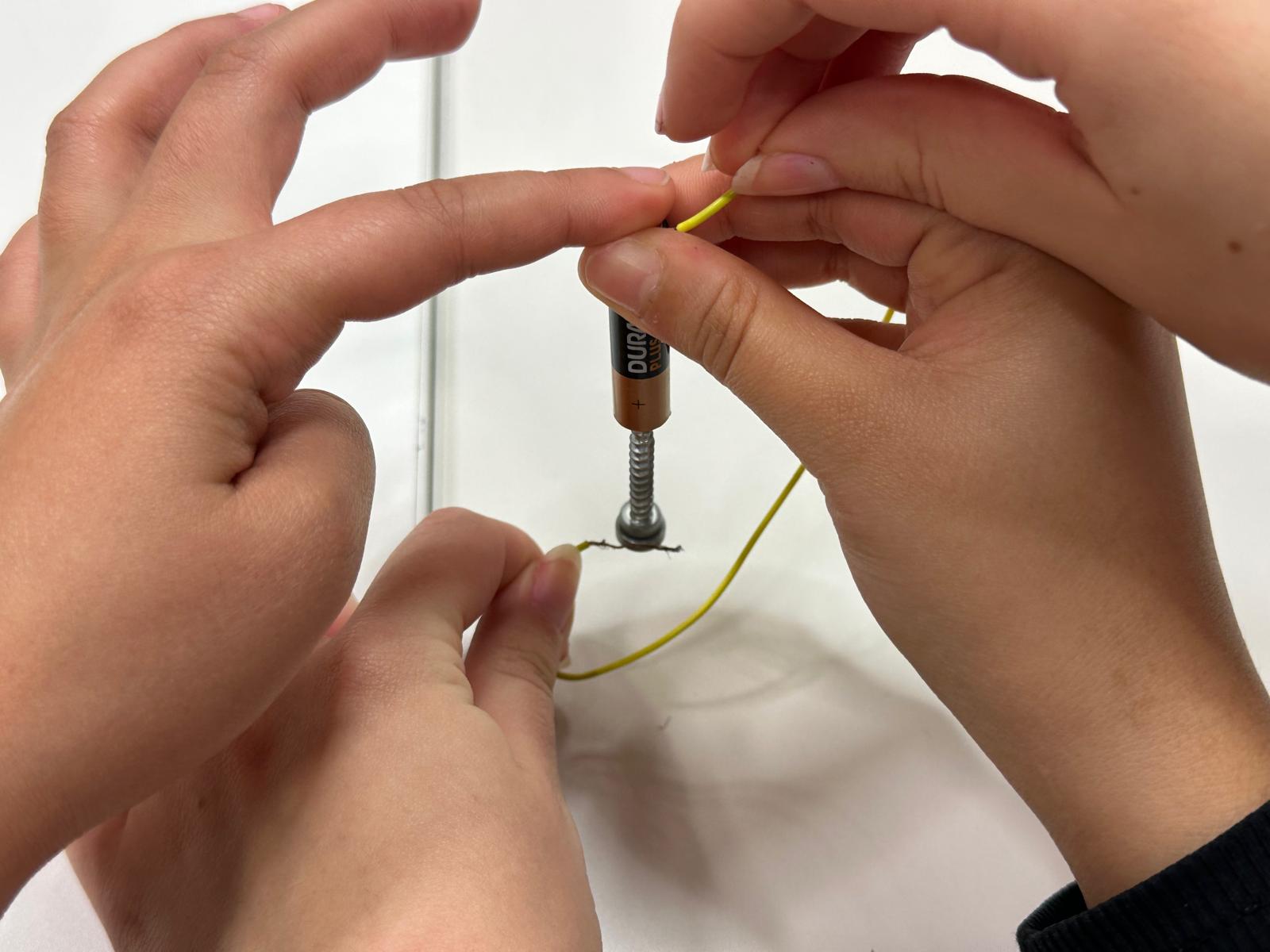 WhatsApp Image 2025-01-08 at 11.01.01 (2)