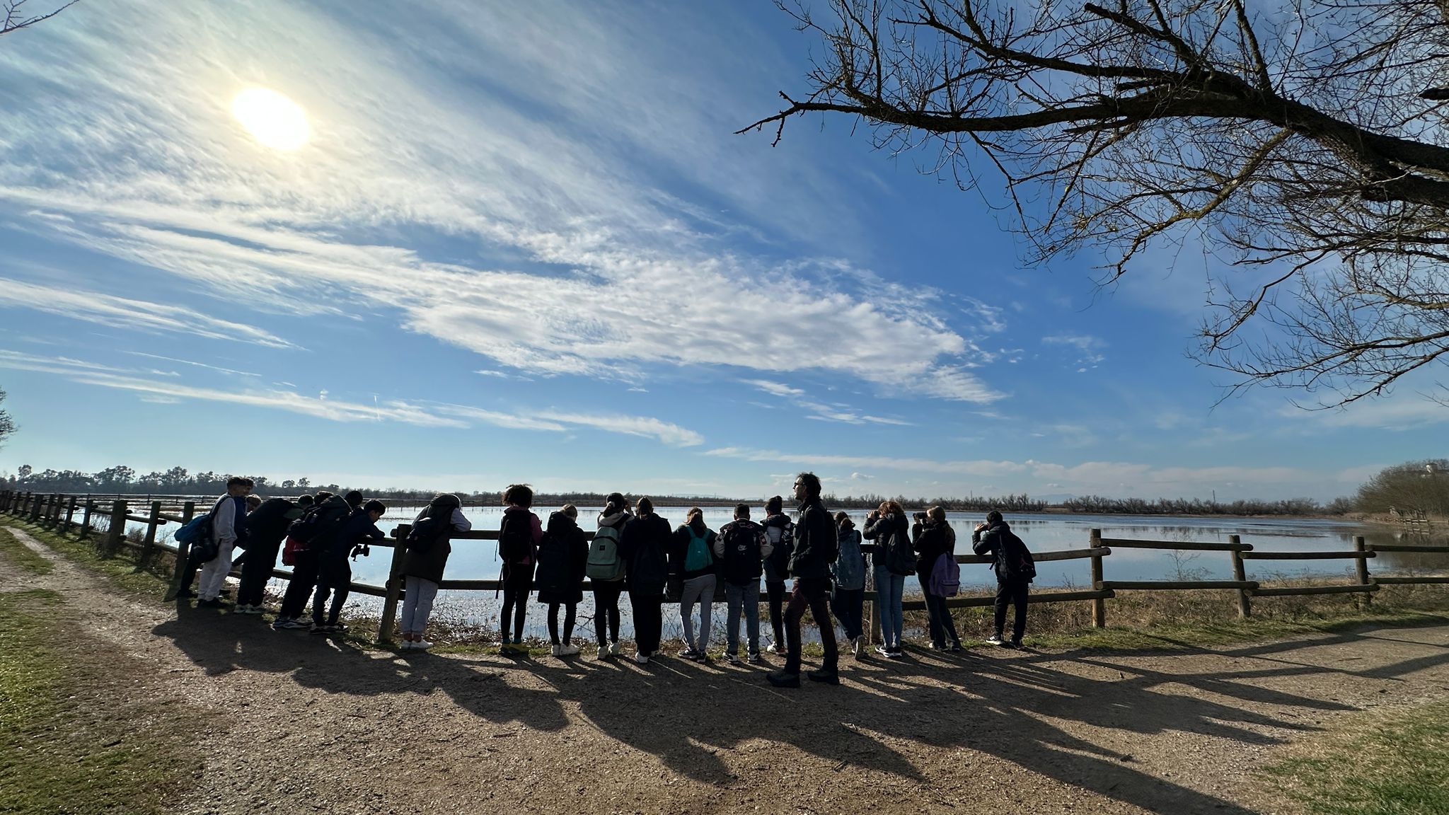 WhatsApp Image 2025-01-22 at 13.36.14