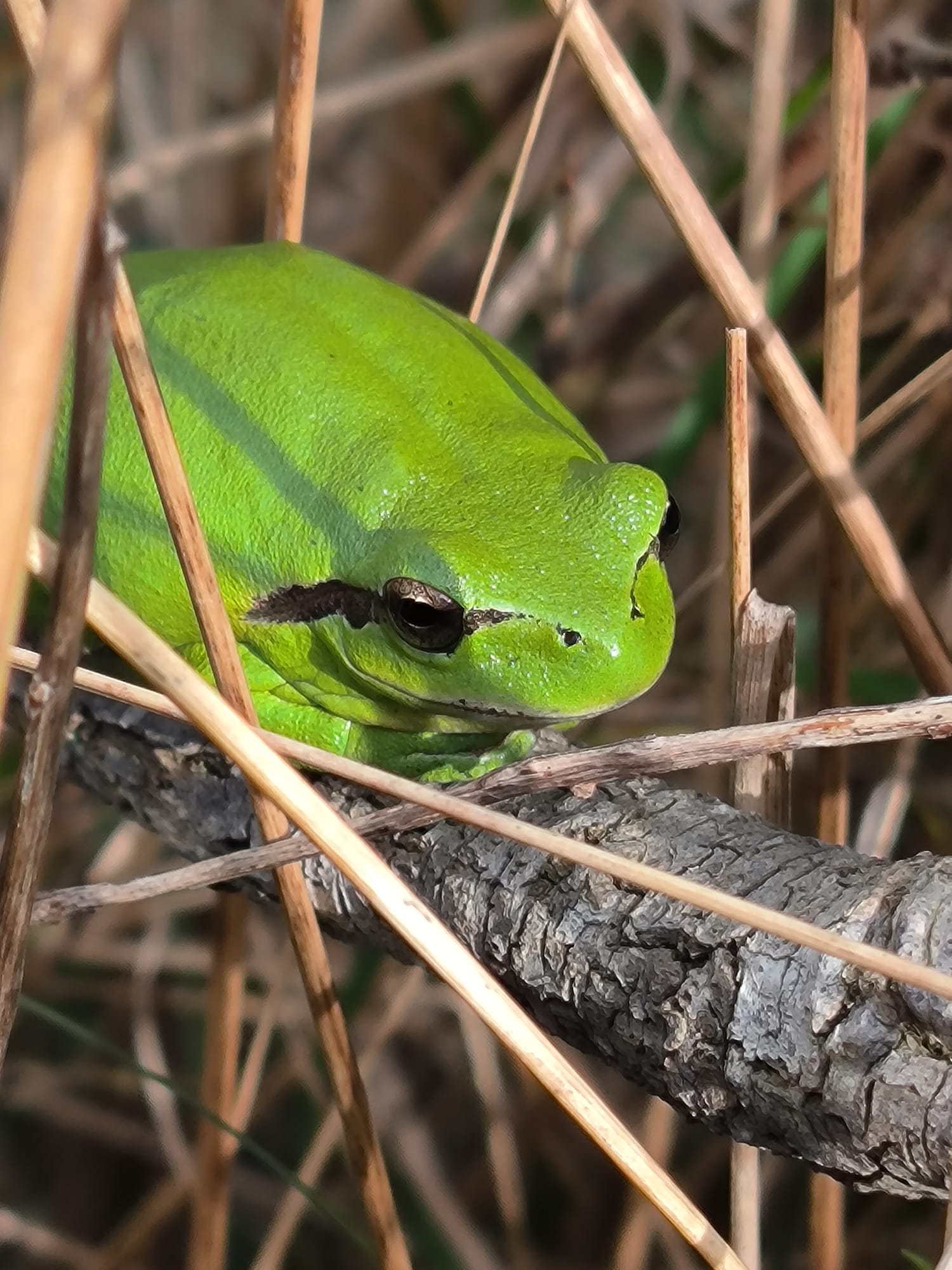 WhatsApp Image 2025-01-23 at 13.37.39