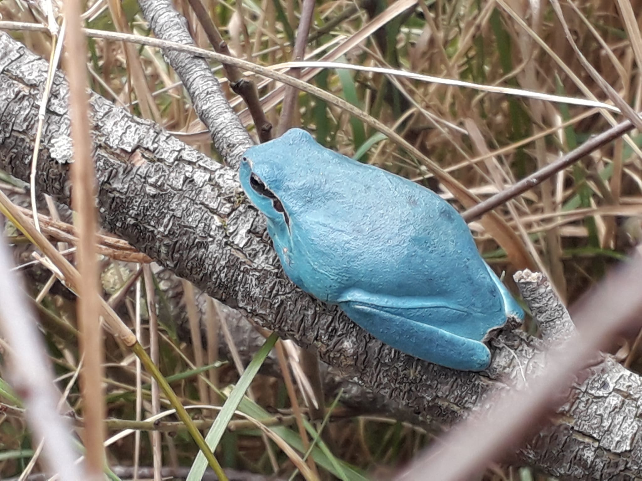 WhatsApp Image 2025-01-23 at 13.37.40