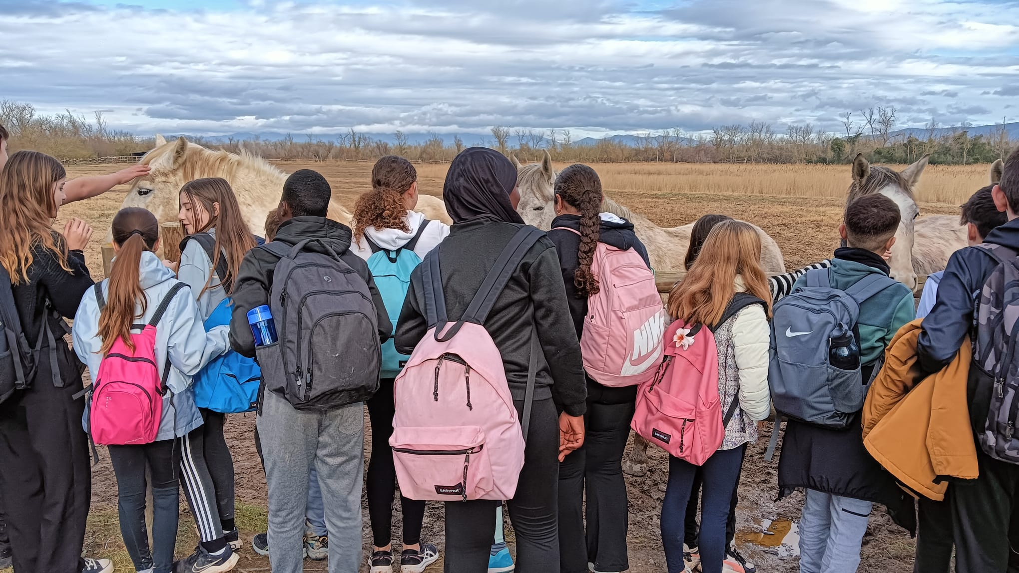 WhatsApp Image 2025-01-23 at 13.40.31