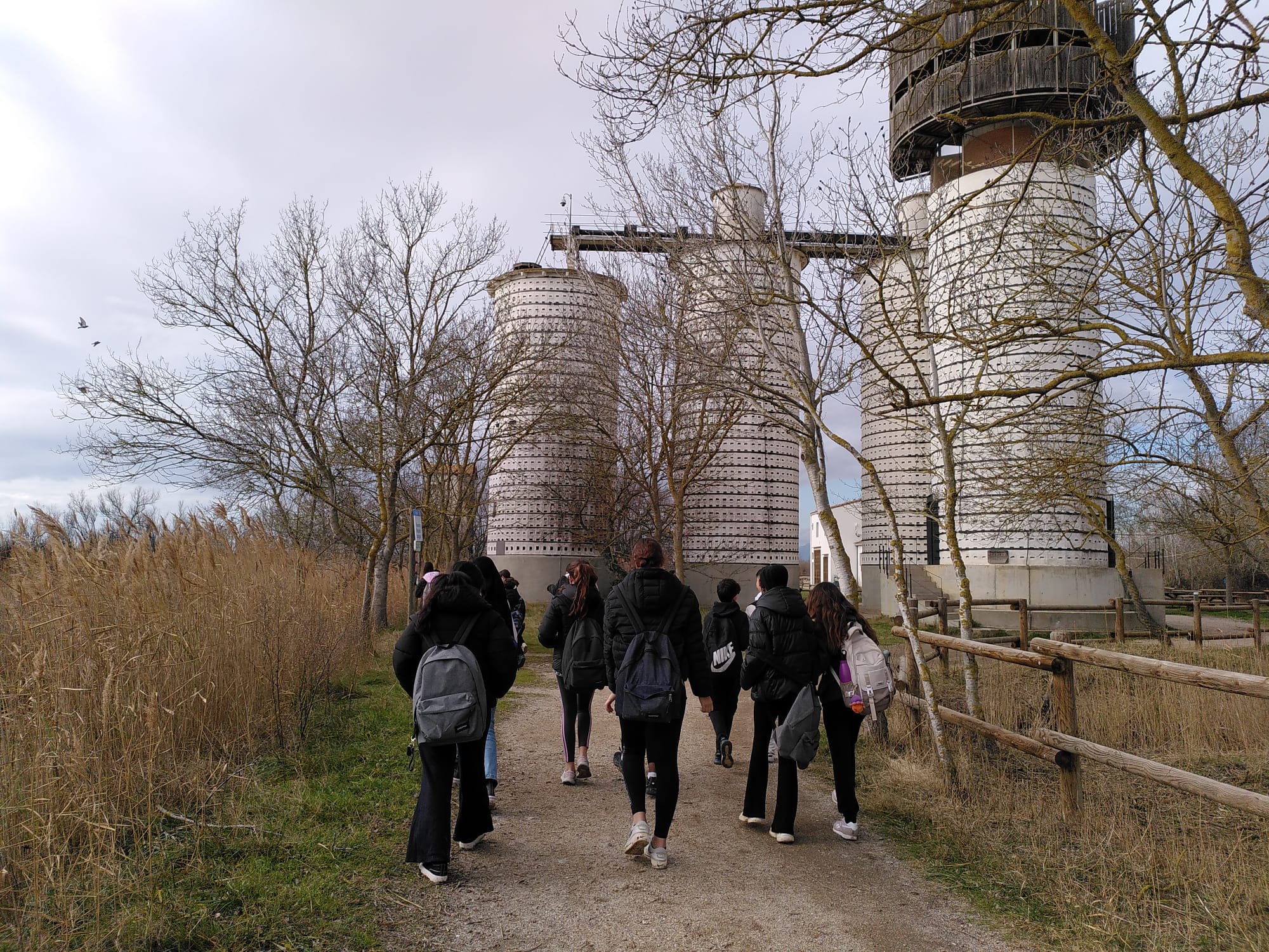 WhatsApp Image 2025-01-23 at 13.42.17 (1)