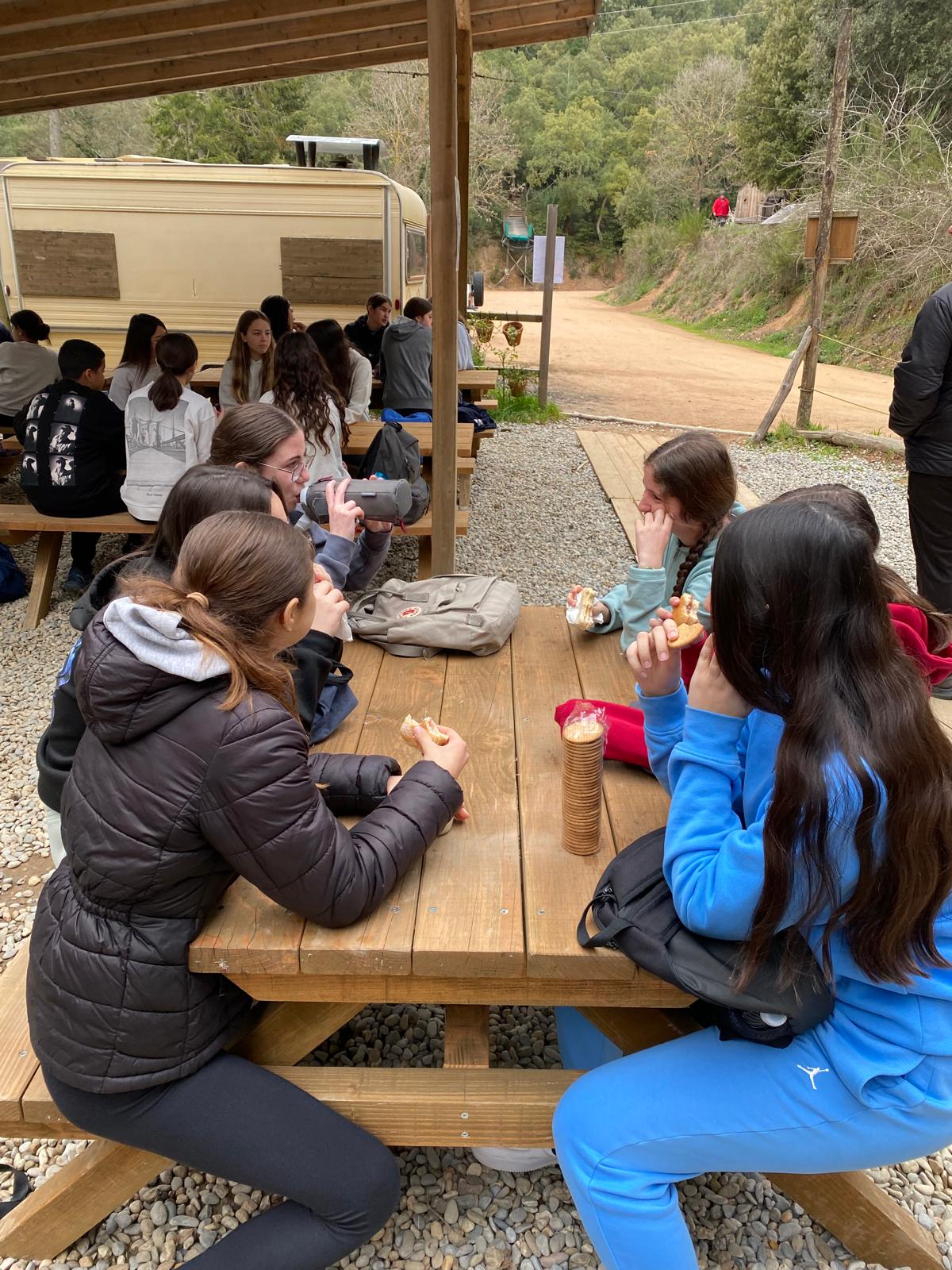 PHOTO-2025-04-09-09-44-05 7