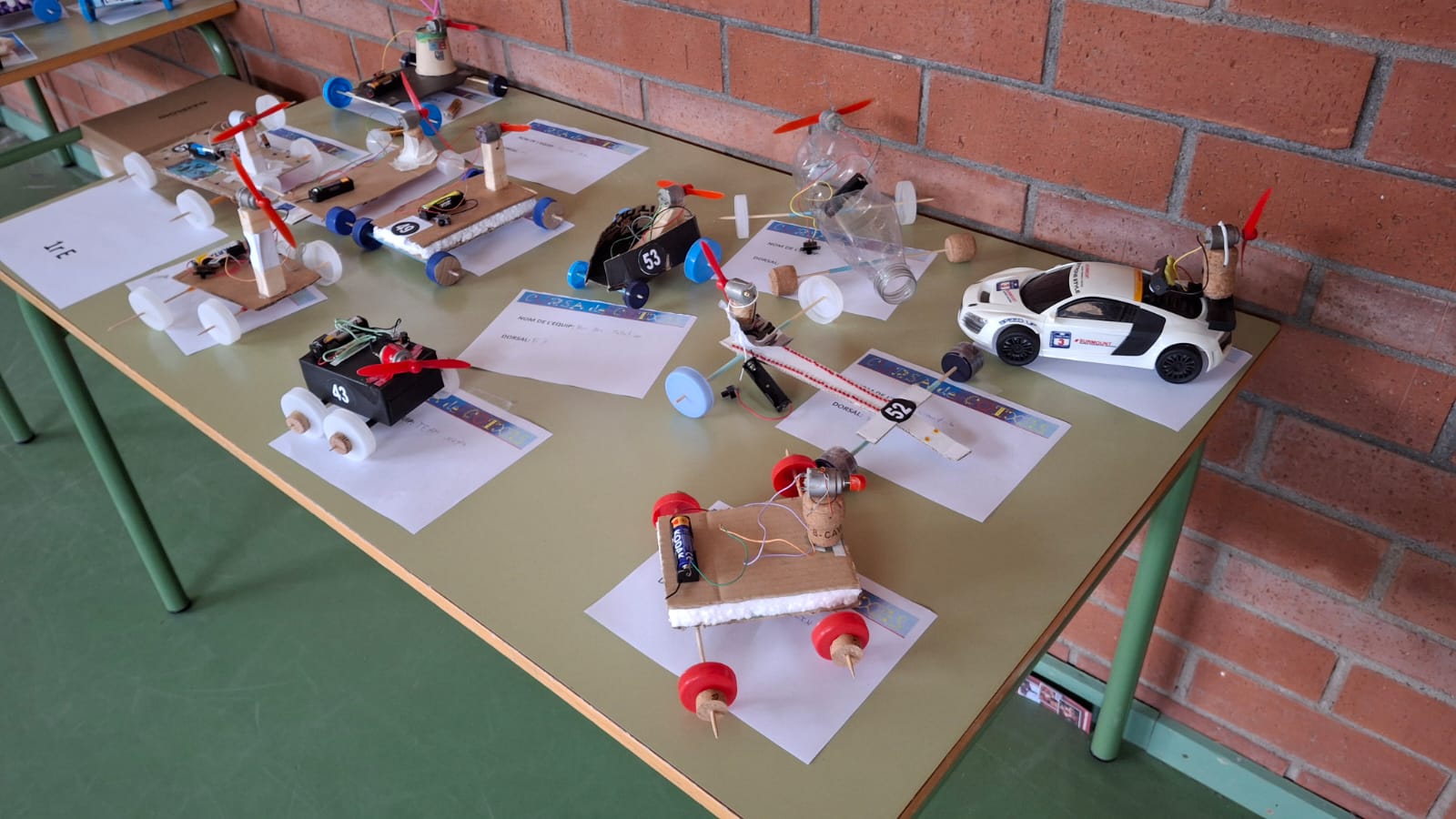 WhatsApp Image 2025-06-10 at 13.19.10 (1)