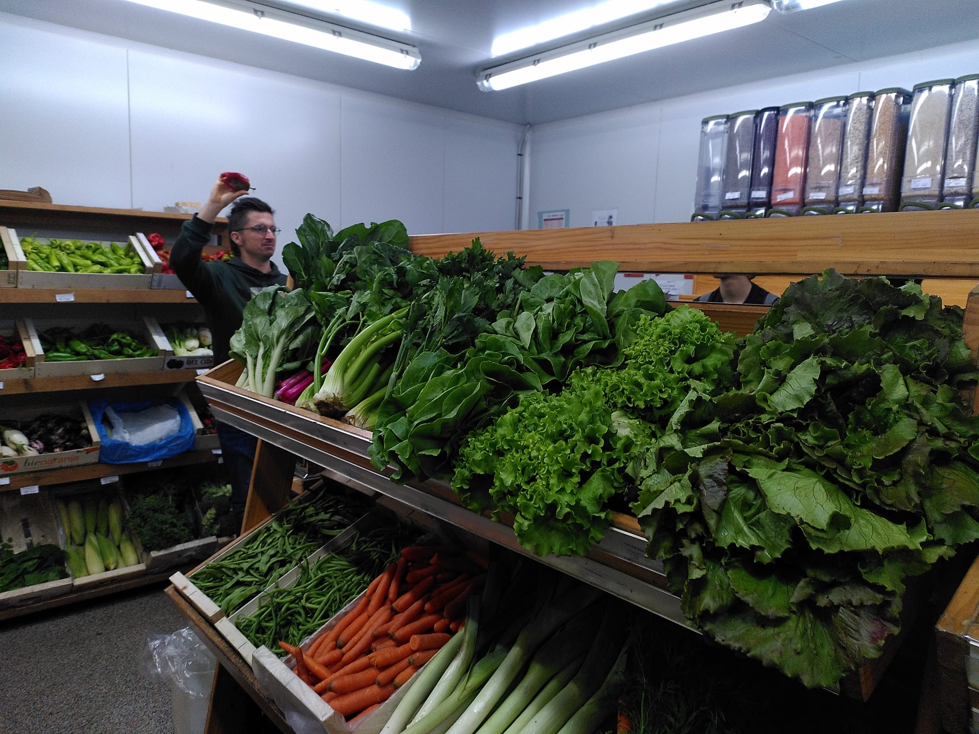 WhatsApp Image 2025-10-17 at 15.30.06 (1) (1)