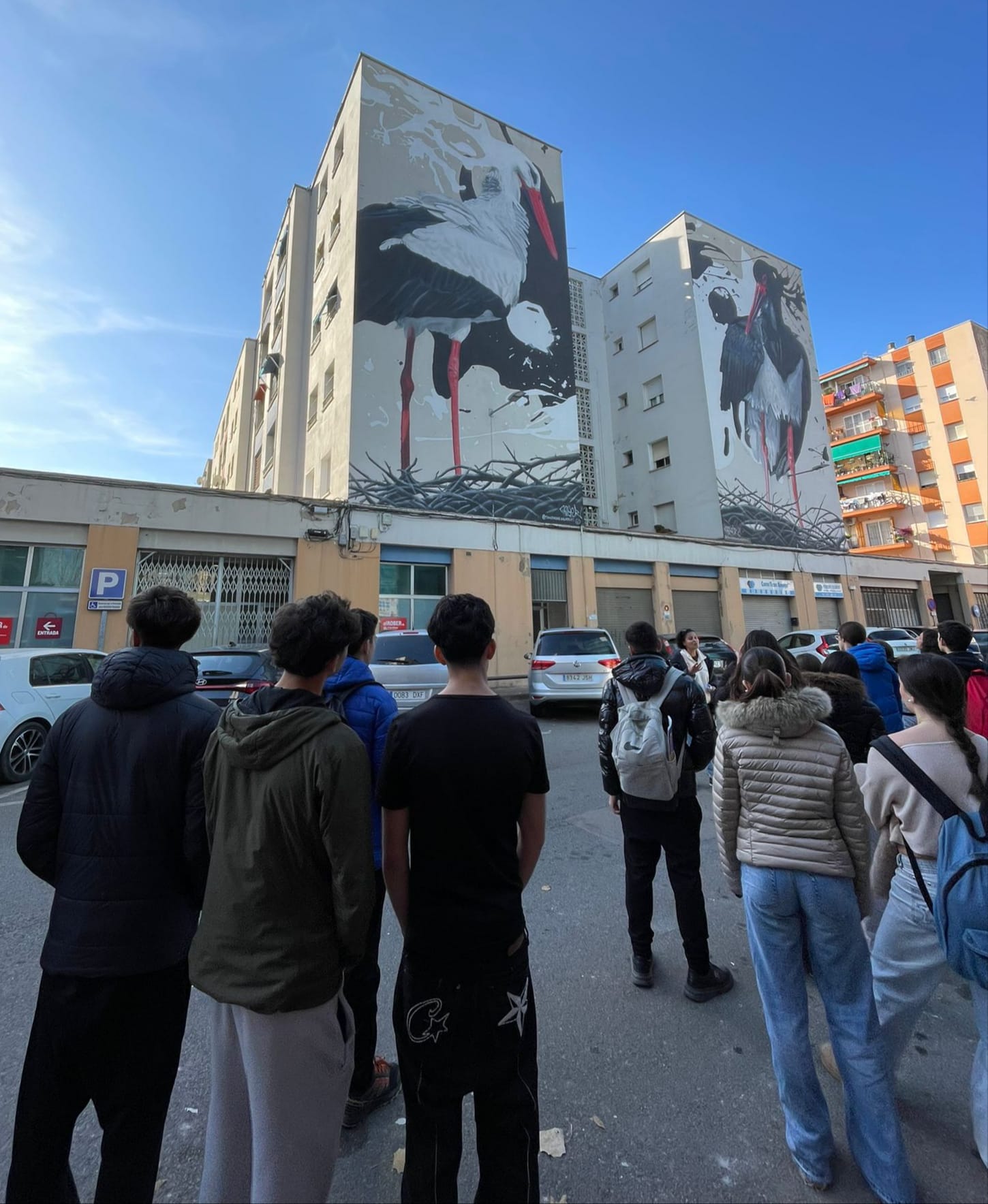 WhatsApp Image 2025-12-15 at 16.51.18